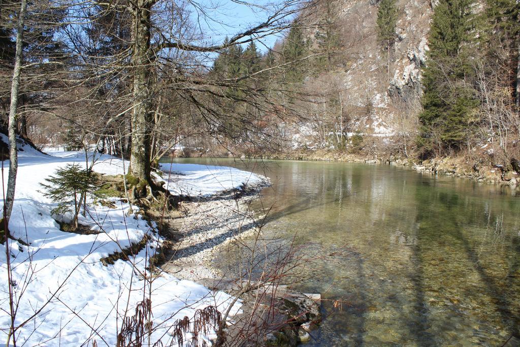 Apartments Villa Dov Bohinj ภายนอก รูปภาพ
