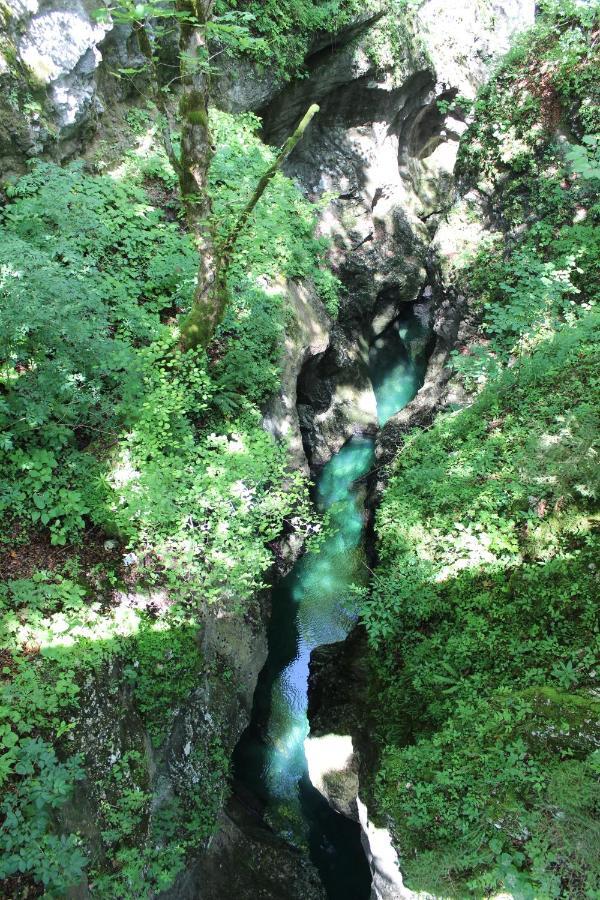 Apartments Villa Dov Bohinj ภายนอก รูปภาพ